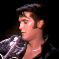 Elvis