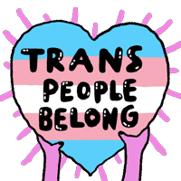 trans people belong