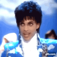 Prince rspberry beret