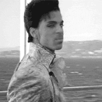 Prince under cherry moon parade