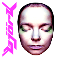 Bjork
