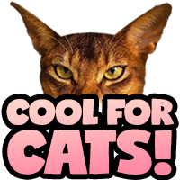 Cool Cat