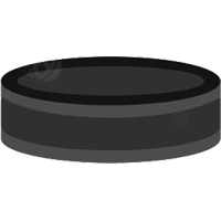 Hockey Puck