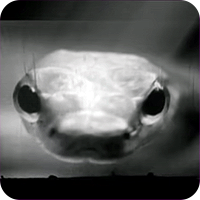 Hurt NIN Nine Inch Nails