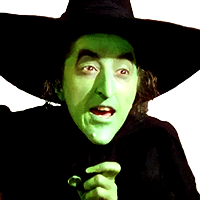 Wizard of Oz witch
