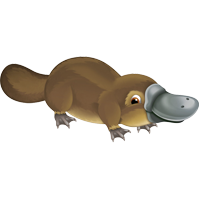 Platypus